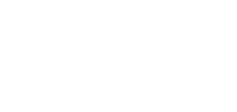 Neil Broom Cricket